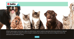 Desktop Screenshot of galitopinsos.com